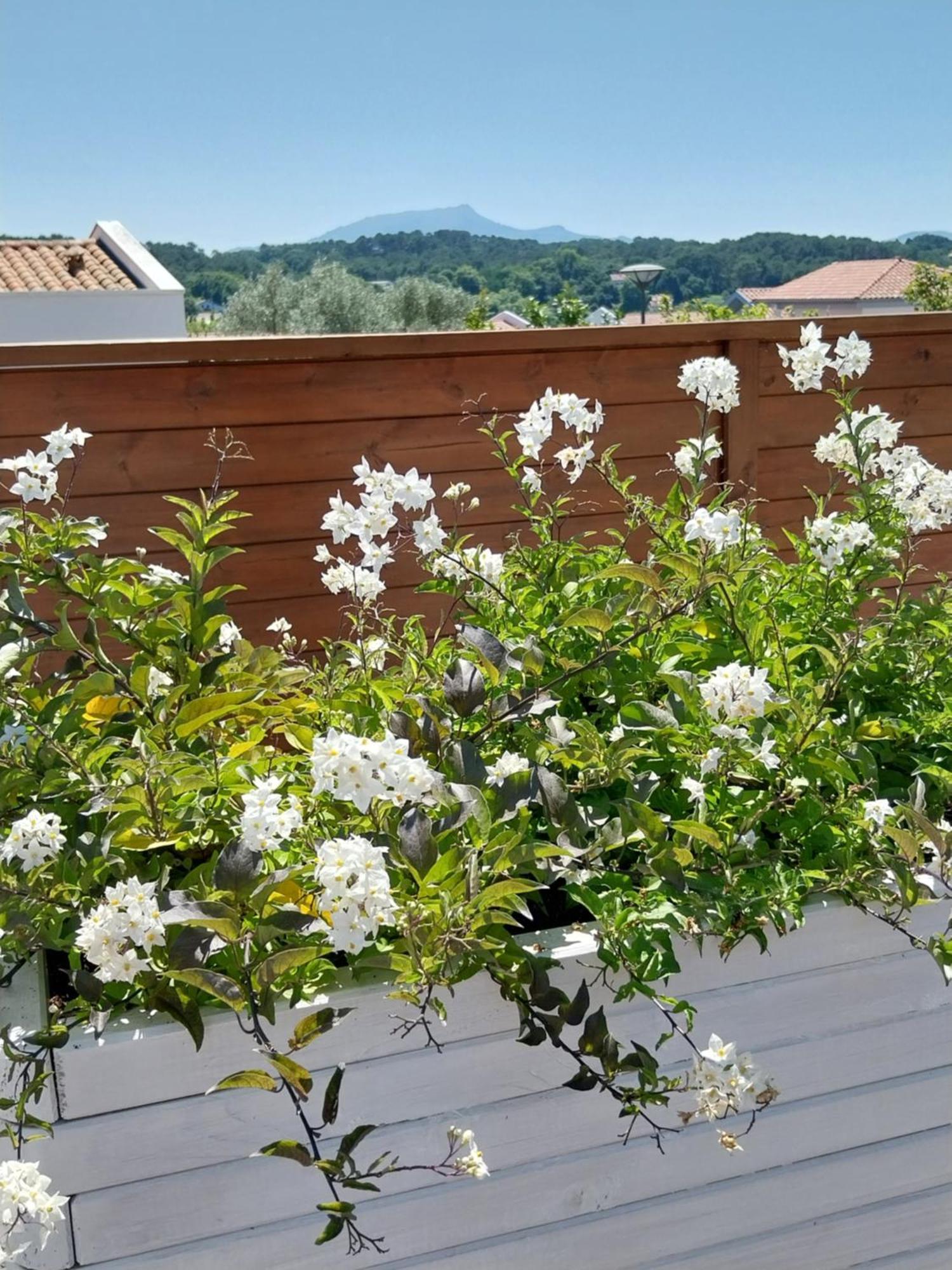 Studio Cocon Enea Bidart, Terrasse Et Parking Exterior foto