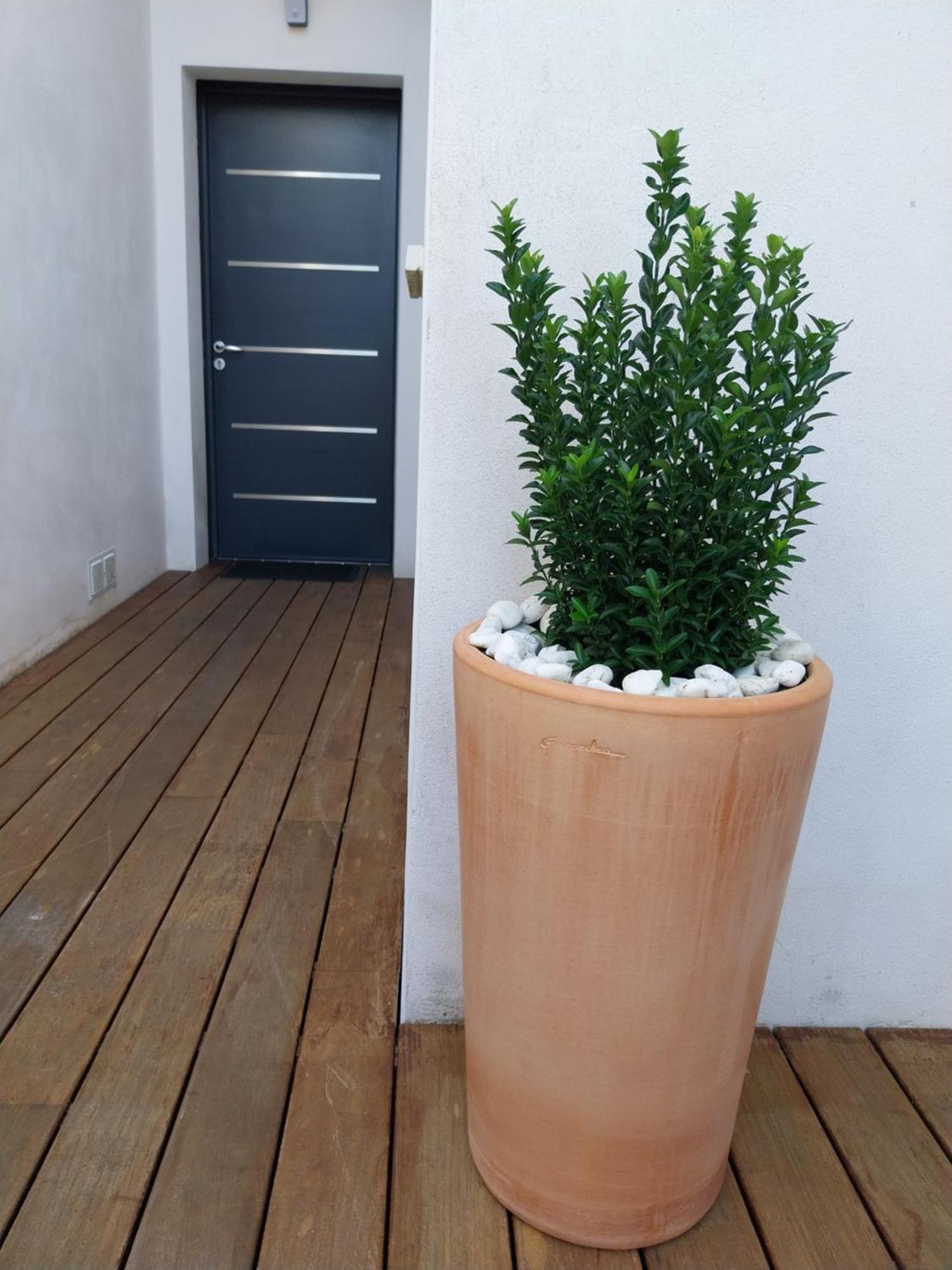 Studio Cocon Enea Bidart, Terrasse Et Parking Exterior foto